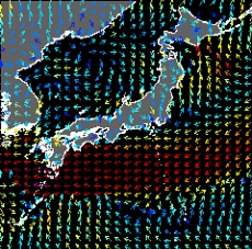 毎時大気解析GPV