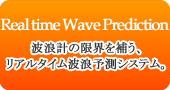 波浪データ　援用波浪推算システム